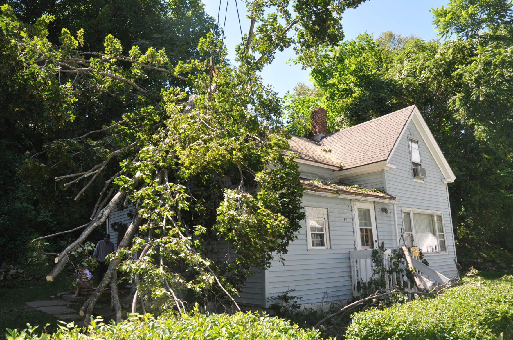 Tree fallen on house